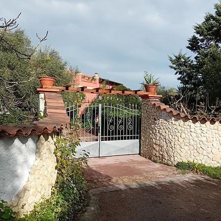 Il Vecchio Lentisco Apartment Alghero Exterior photo